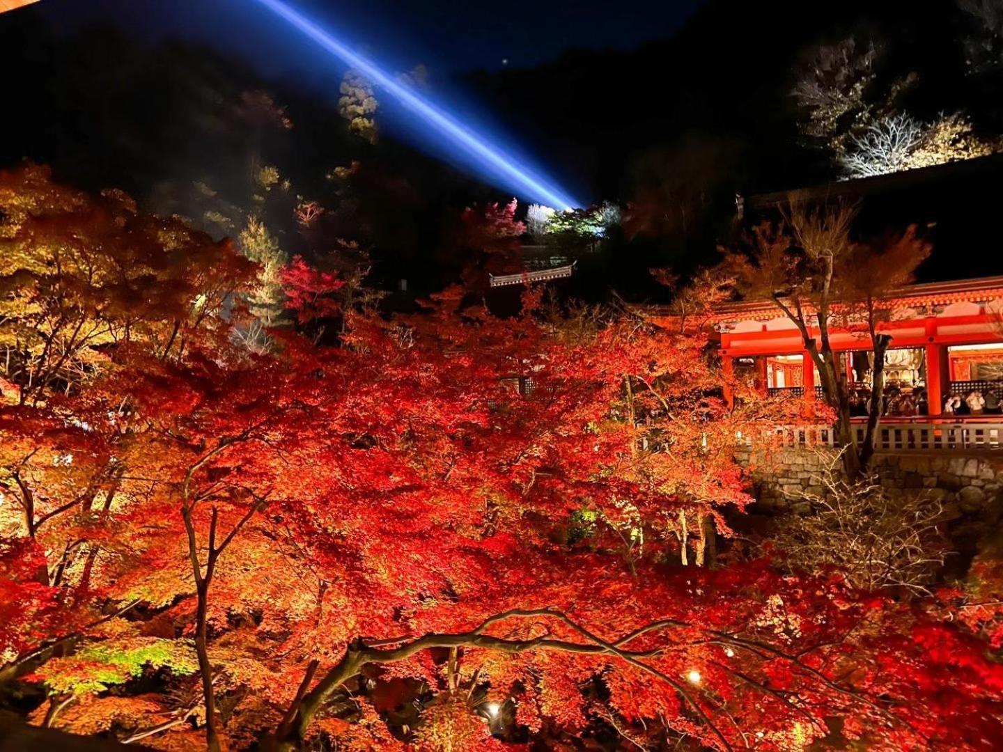 Rinn Kiyomizu Gion เกียวโต ภายนอก รูปภาพ